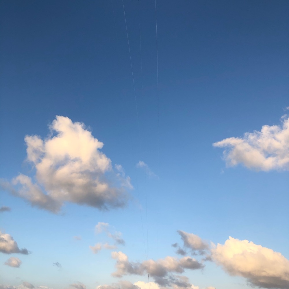 Meet your Posher, Cynthia